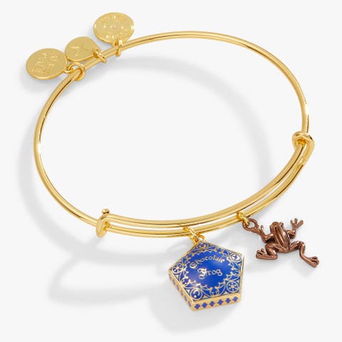Harry Potter Chocolate Frog Two-Charm Bangle Bracelet