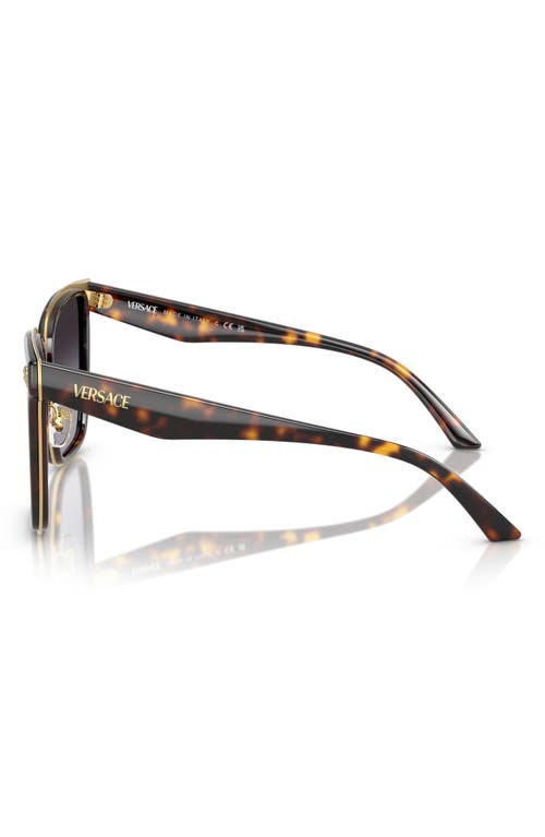Versace 58mm Butterfly Sunglasses In Havana