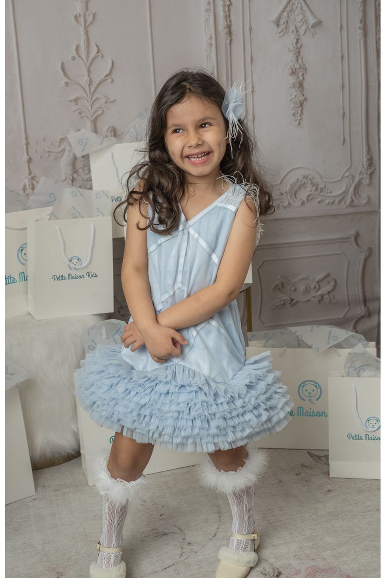 Skylar Tulle Tutu Dress, Alternate, color, Baby Blue