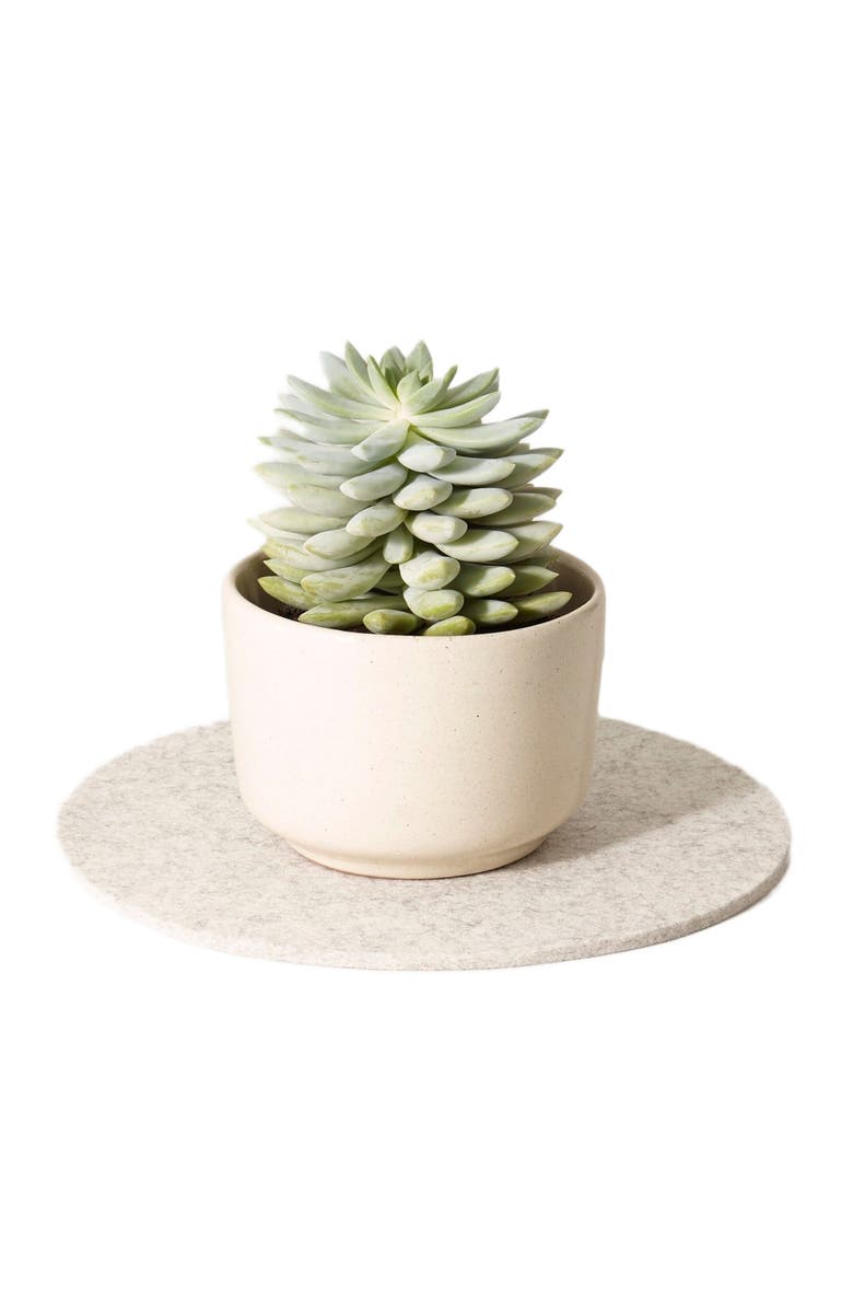 Graf Lantz Merino Wool 10" Round Trivet, Alternate, color, Heather White