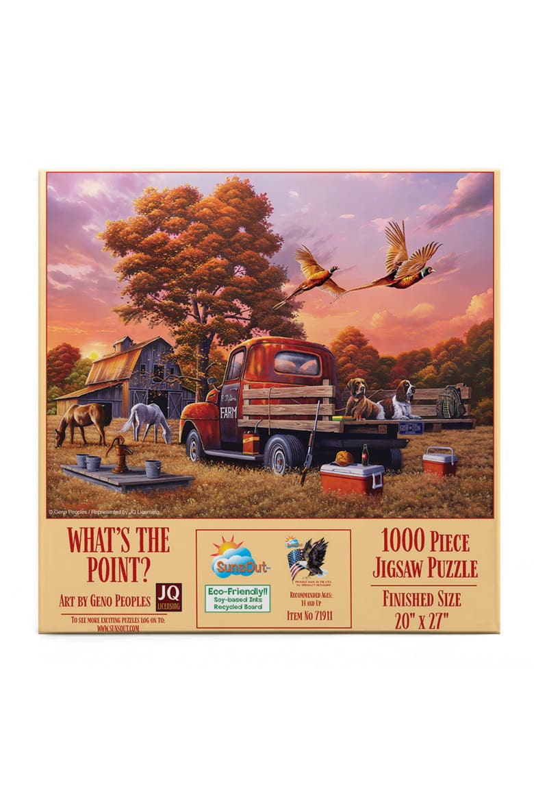 What's the Point 1000 piece Jigsaw Puzzle for Adults, Alternate, color, Multicolor