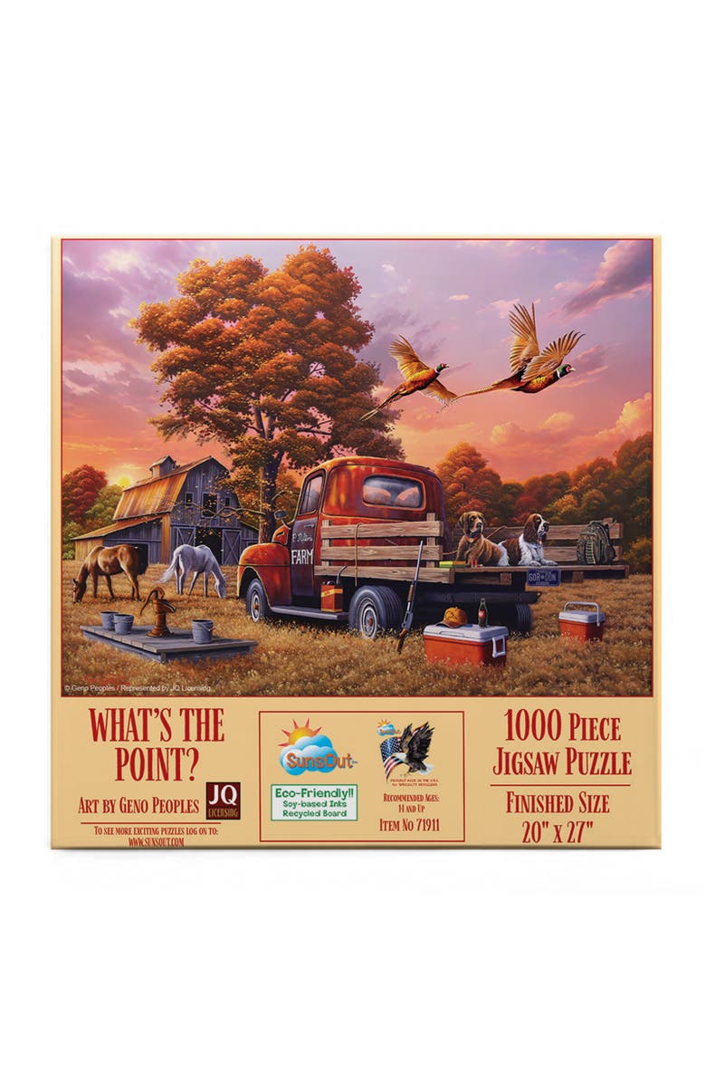 Sunsout What's the Point 1000 piece Jigsaw Puzzle for Adults, Alternate, color, Multicolor