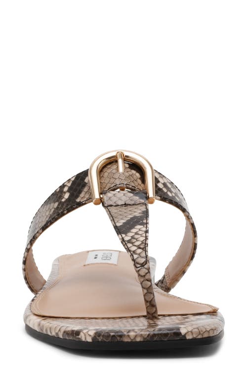 STEVEN NEW YORK STEVEN NEW YORK PAVA SANDAL 