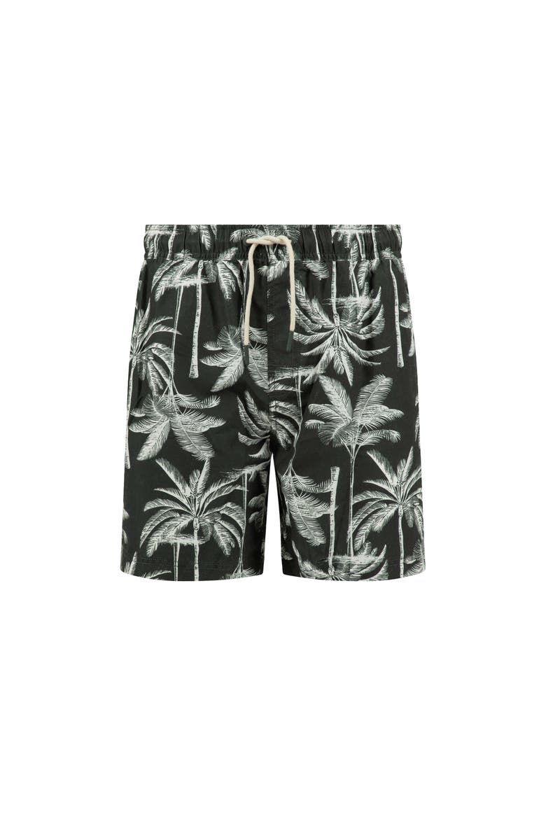 Orcha Premium Swim Shorts, Alternate, color, Black