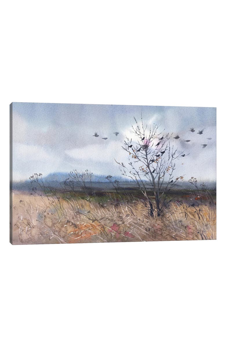 iCanvas Stylish By Smira Yanushkova Canvas Artwork, Main, color, Valley