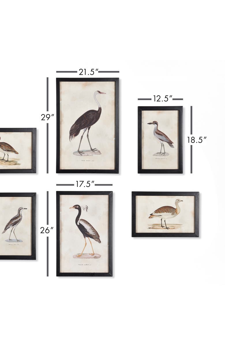 Napa Home & Garden Waterfowl Gallery, Set Of 6, Alternate, color, Black
