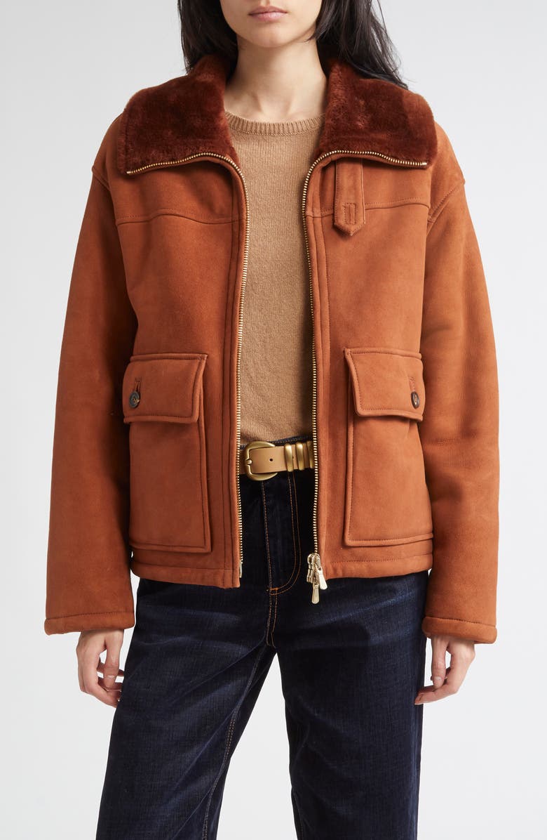 Eleventy Genuine Merino Shearling Aviator Jacket, Main, color, 157 Cognac