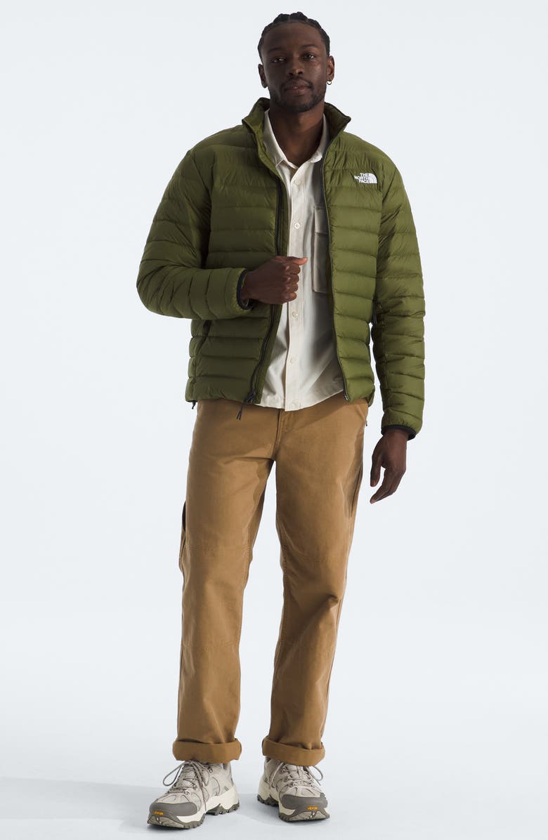 The North Face Classic 700 Fill Power Down Jacket, Alternate, color, Woodland Green