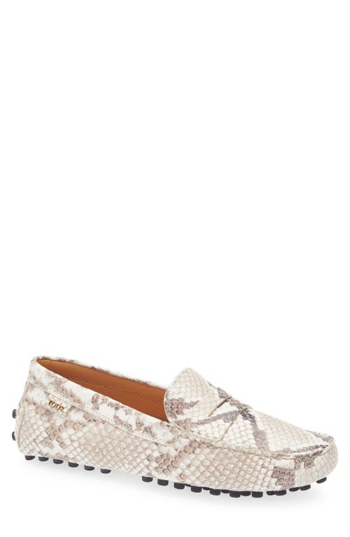 Tod's Snake-effect Leather Driving Loafers In Gray