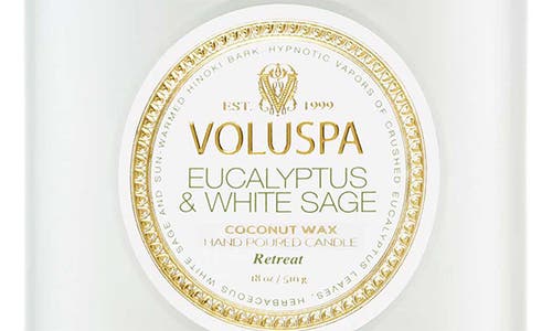 Voluspa Eucalyptus & White Sage Large Jar Candle In Eucalyptus & White Sage