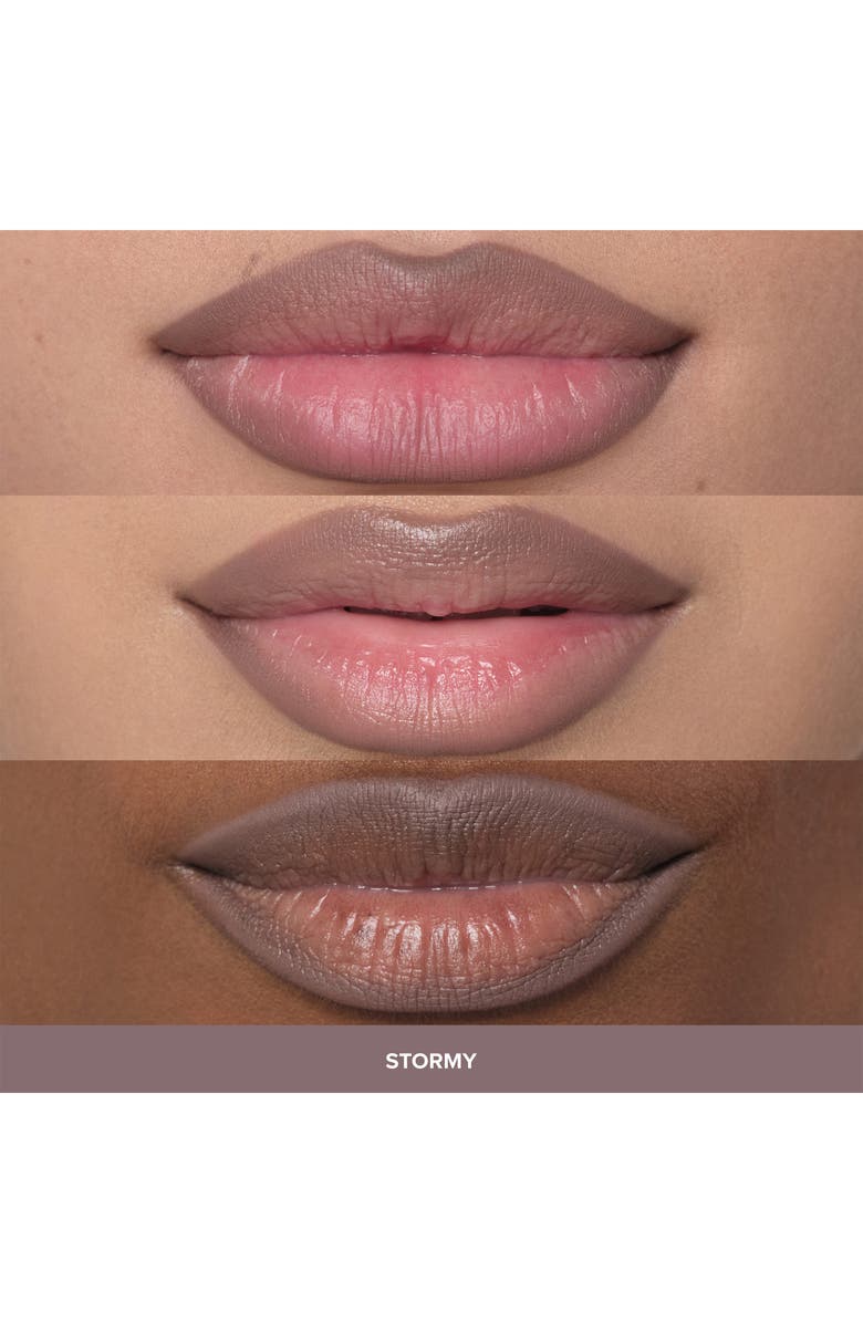 Anastasia Beverly Hills Lip Liner, Alternate, color, Stormy