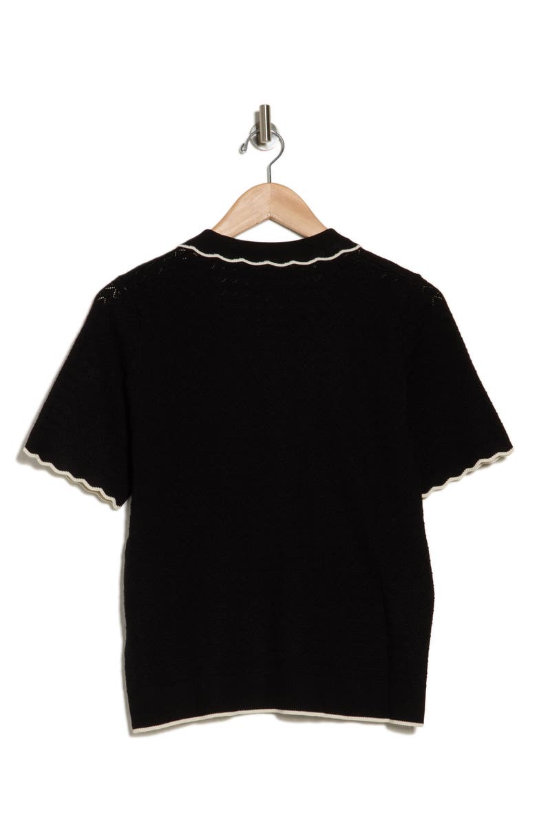 Adrianna Papell Pointelle Polo, Alternate, color,