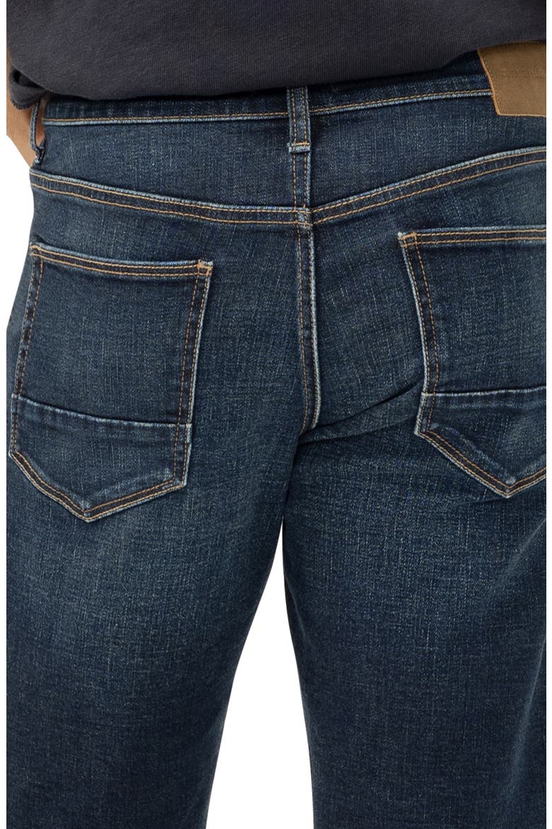 Zac Relaxed Fit Denim Shorts, Alternate, color, TWISTER