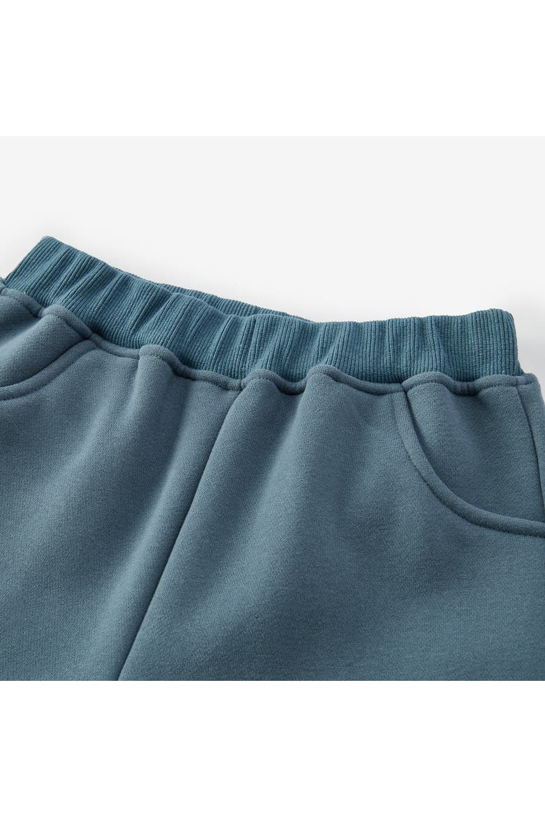 Cozy Sweatpants, Alternate, color, Dark Blue