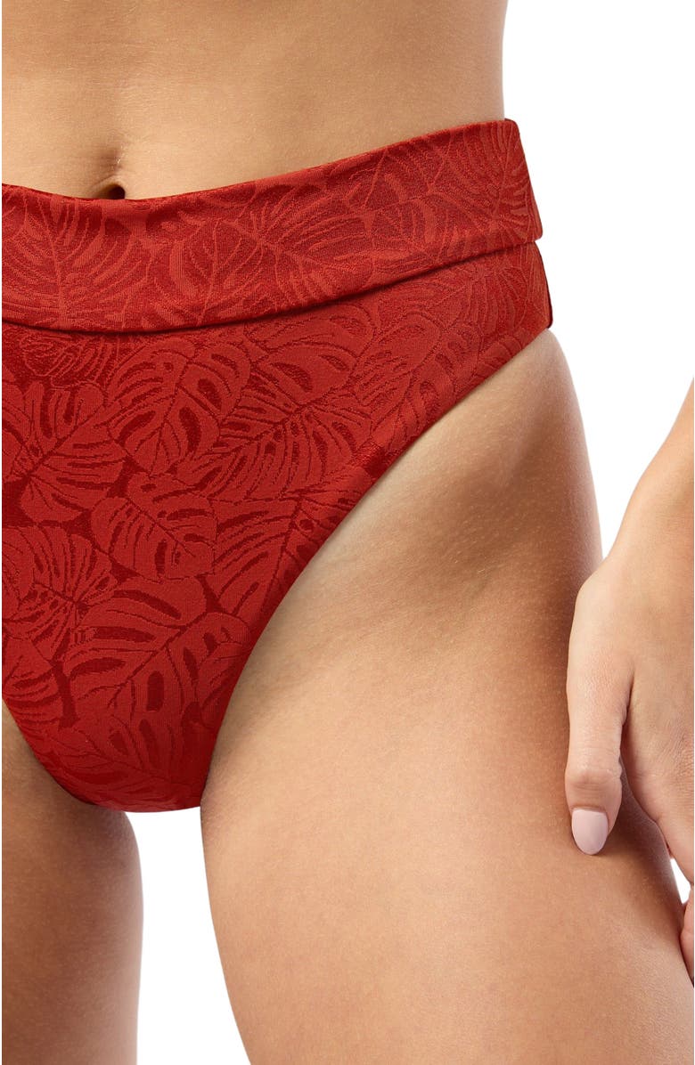Onia Ivy Bikini Bottom, Alternate, color, Dark Red