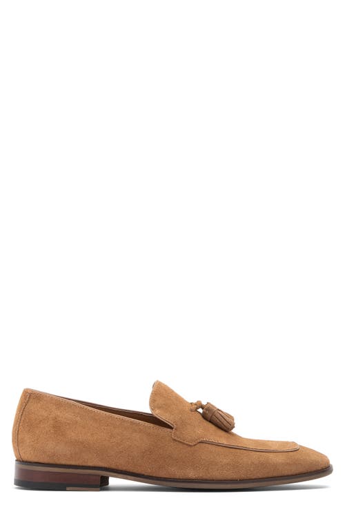 Steve Madden Hypens Tassel Loafer In Taupe