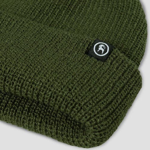 Backcountry Capra Rolled Beanie In Green