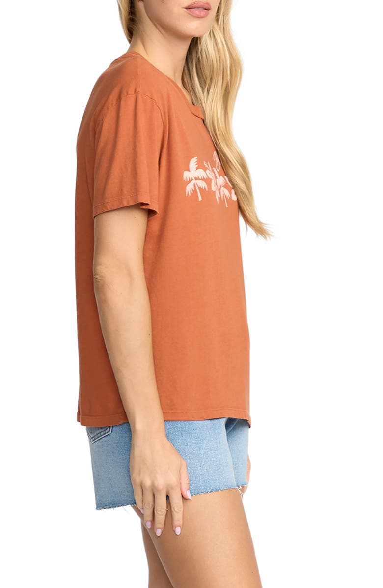 Billabong Garden Keeper Cotton Graphic T-Shirt, Alternate, color, Sedona