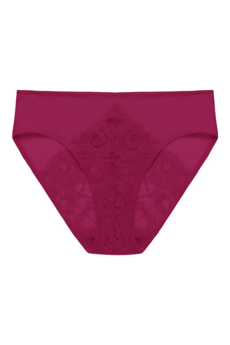Peony Lace & Mesh Hipster Panties, Alternate, color, DARK RASPBERRY