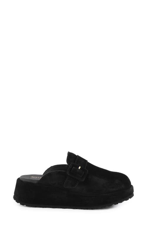 Seychelles Come Together Ii Platform Clog In Black
