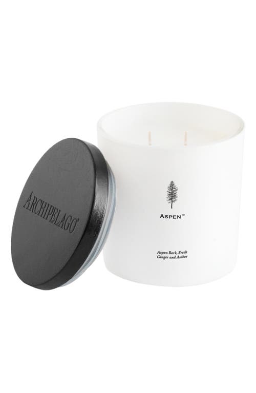 Archipelago Botanicals Luxe Candle in Aspen  product
