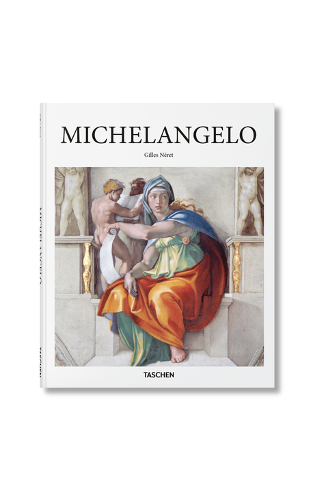 Michelangelo Book