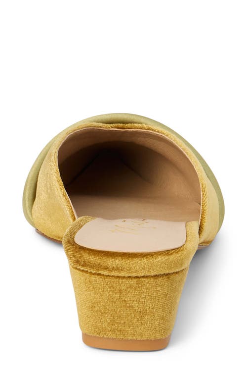 Matisse Kellan Pointed Toe Mule