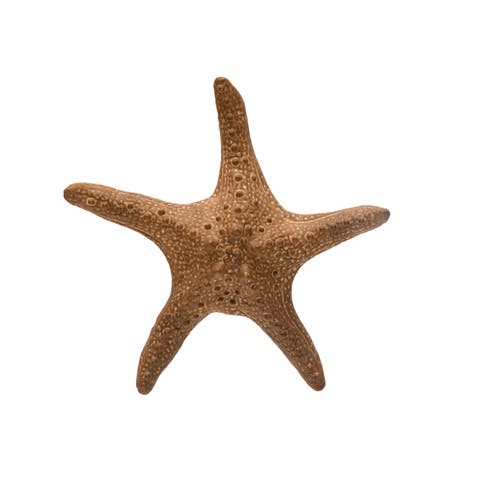 Decorative Stoneware Starfish