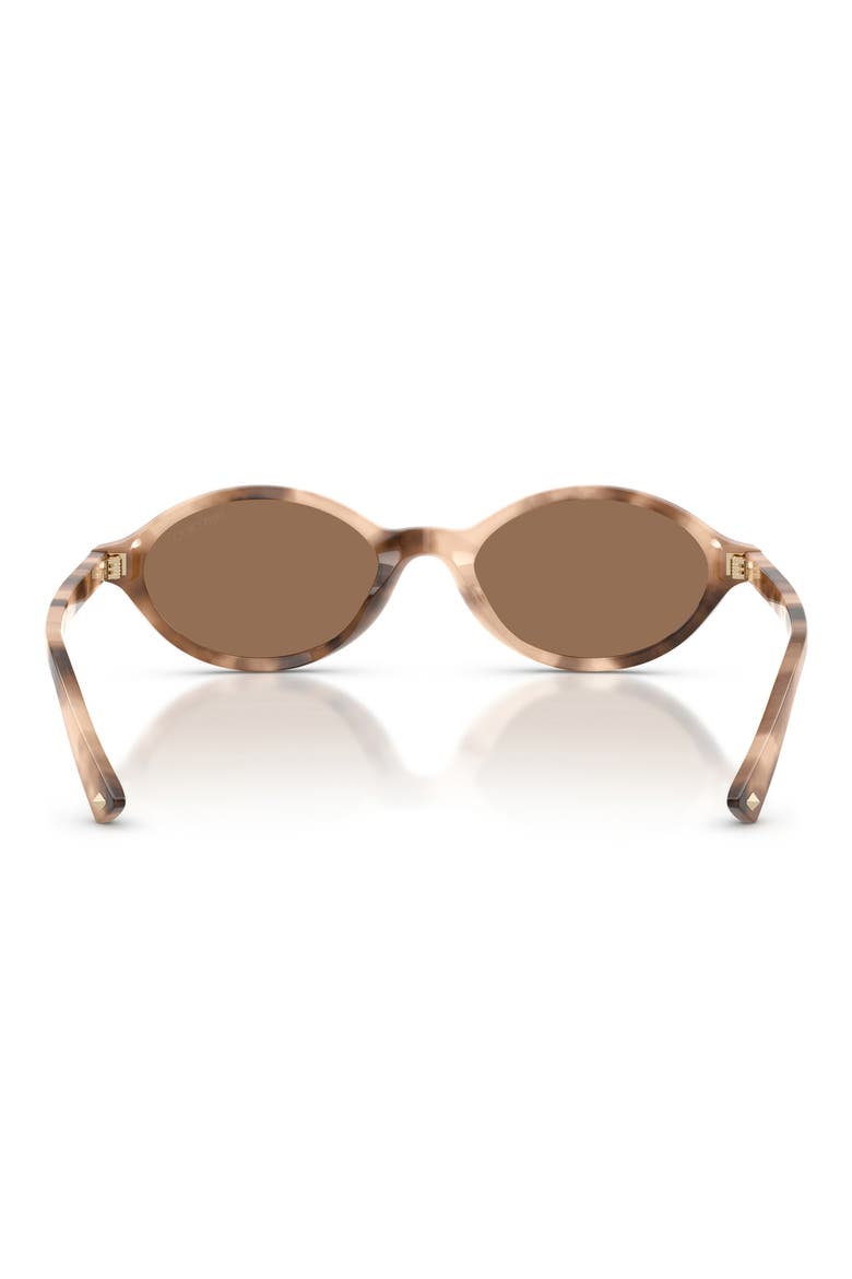 51mm Oval Sunglasses, Alternate, color, CHAI HAVANA / DARK BROWN