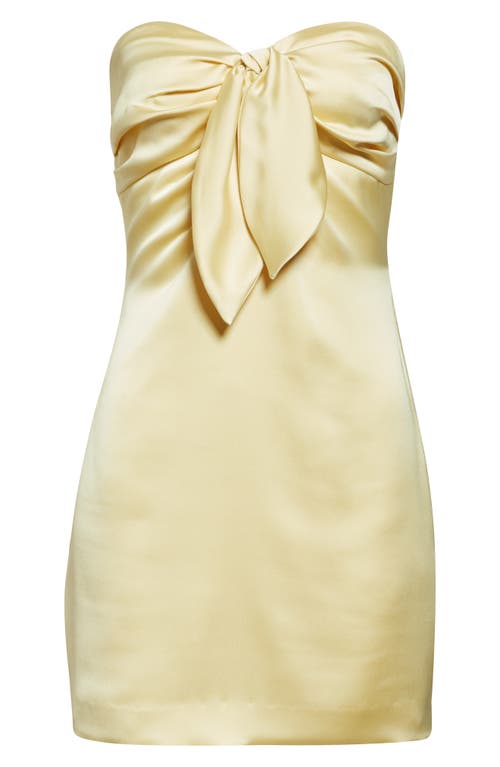 Ramy Brook Orion Satin Bodice Strapless Minidress