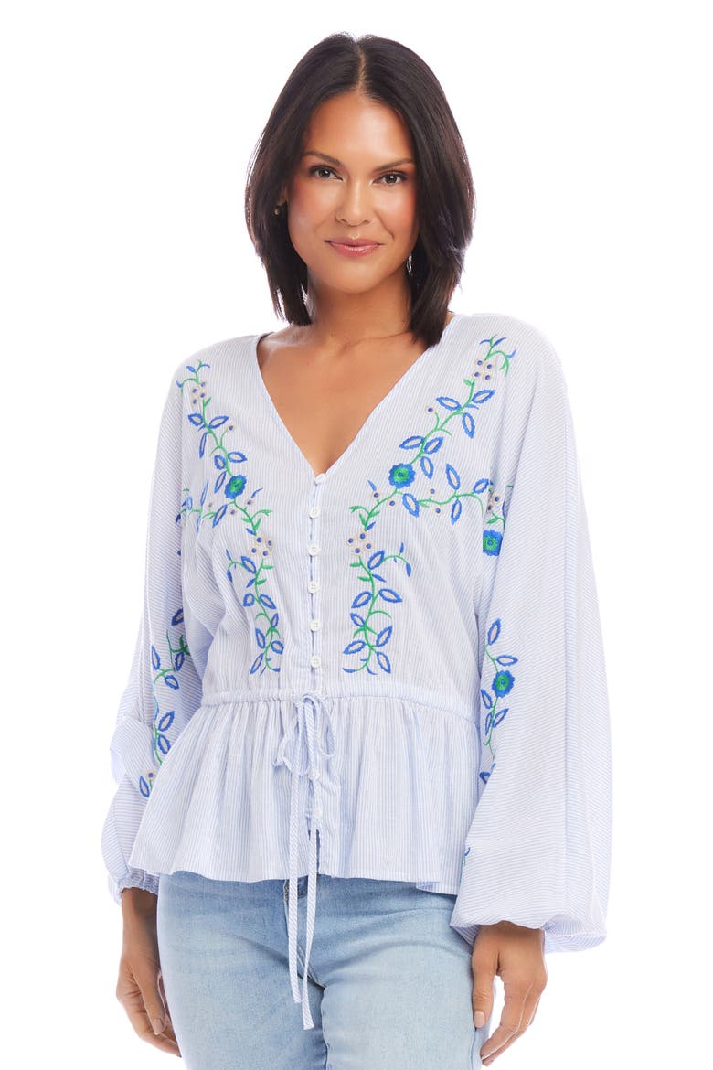 Floral Embroidered Stripe Top, Alternate, color, STRIPE