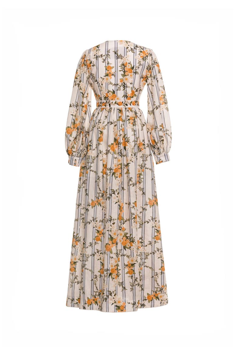 Frambuesa Valle Maxi Dress, Alternate, color, Multicolor