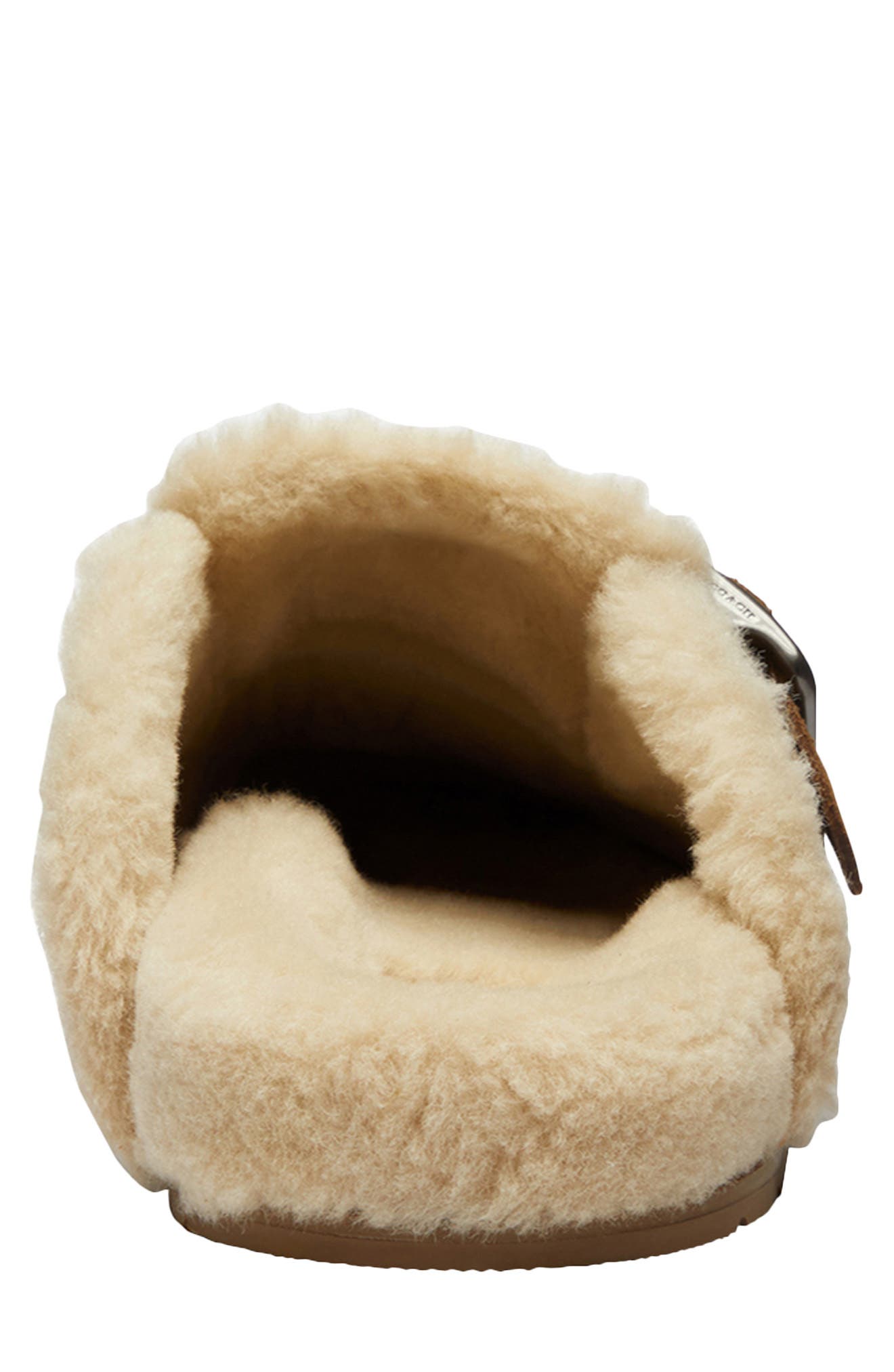 COACH Signature Genuine Shearling Lined Buckle Mule, Alternate, color, Tobacco