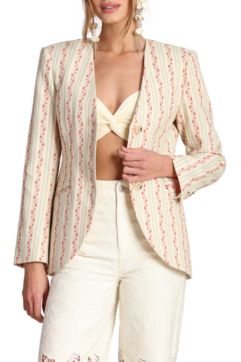 Floral Brocade Cotton Blazer, Main, color, ROSE STRIPE MULTI