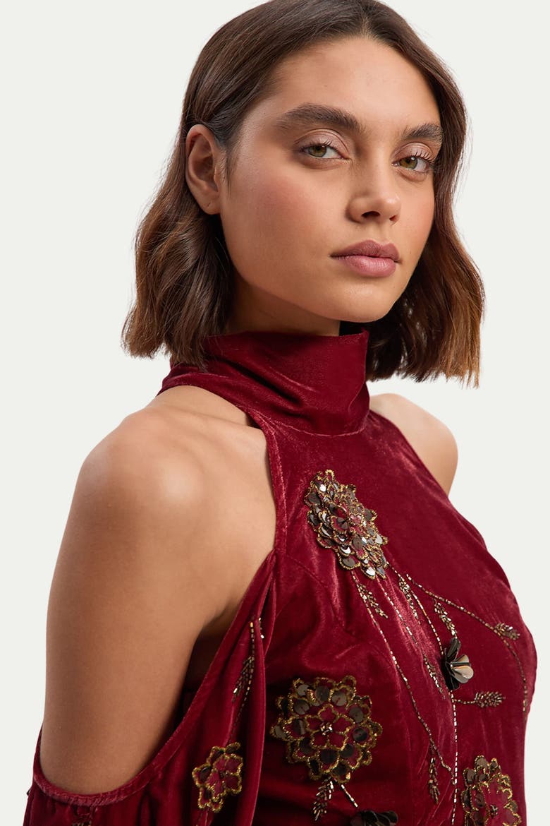 Velvet Embroidered High Neck Maxi Dress, Alternate, color, Rust