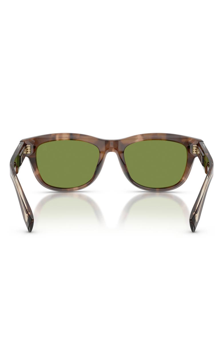 Brunello Cucinelli Stanley J 53mm Pillow Sunglasses, Alternate, color, Havana