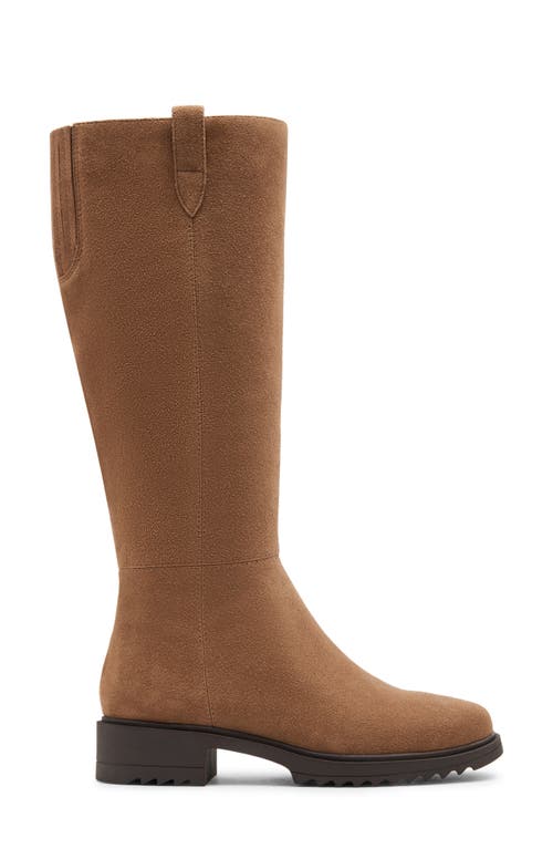 Blondo Colorado Waterproof Knee High Riding Boot In Tan Suede