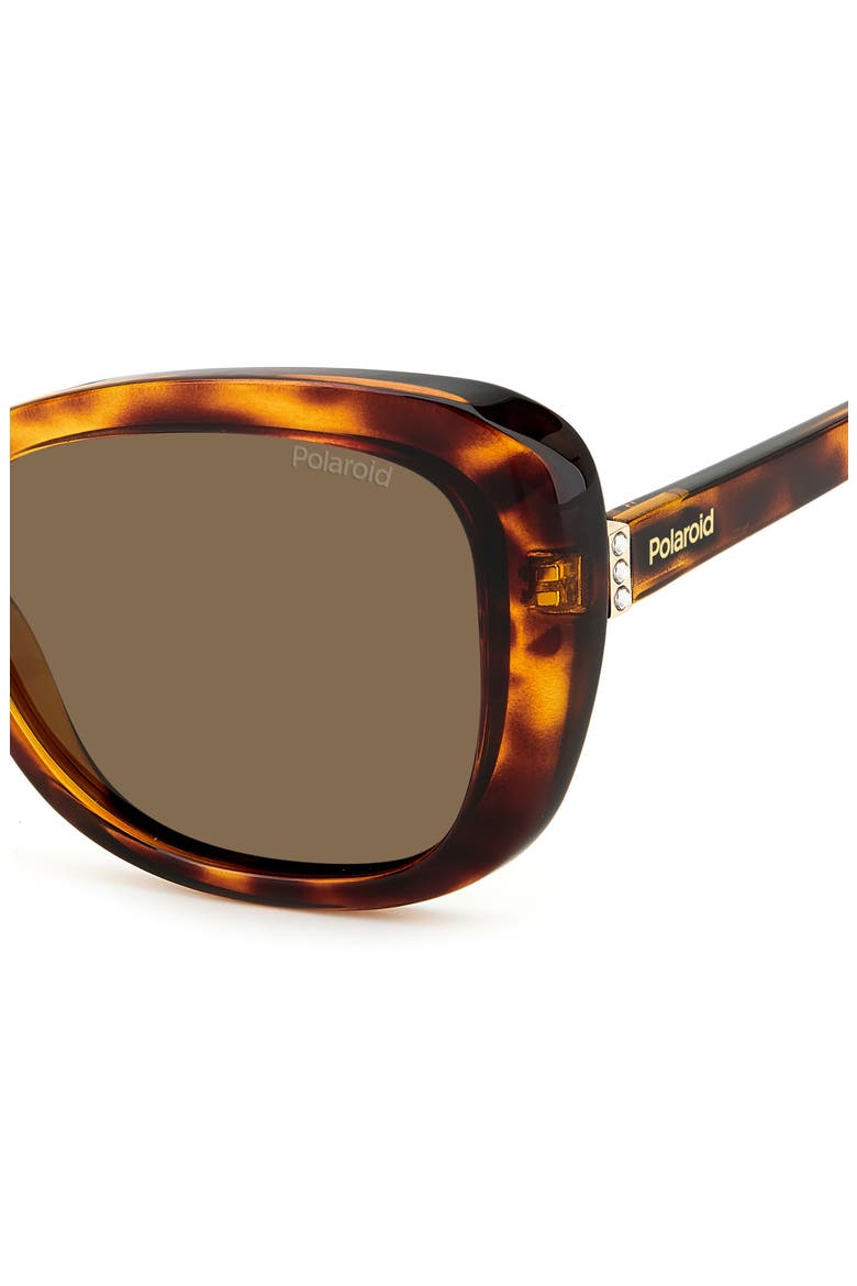 53mm Polarized Cat Eye Sunglasses, Alternate, color, HAVANA/ BRONZE POLAR