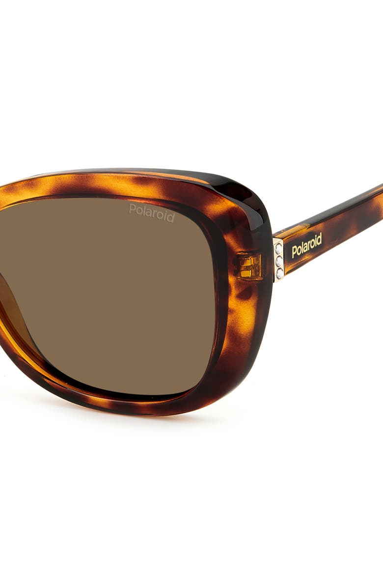 Polaroid 53mm Polarized Cat Eye Sunglasses, Alternate, color, Havana/ Bronze Polar