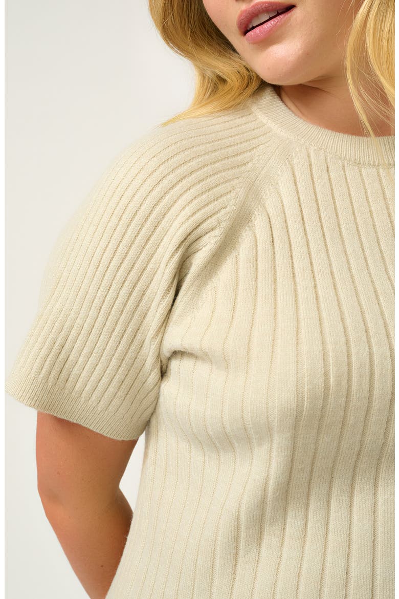 Sera Raglan Sleeve Rib Sweater, Alternate, color, OAT
