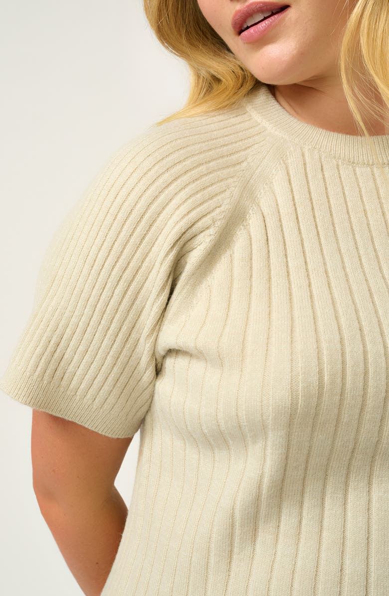 Estelle Sera Raglan Sleeve Rib Sweater, Alternate, color, Oat