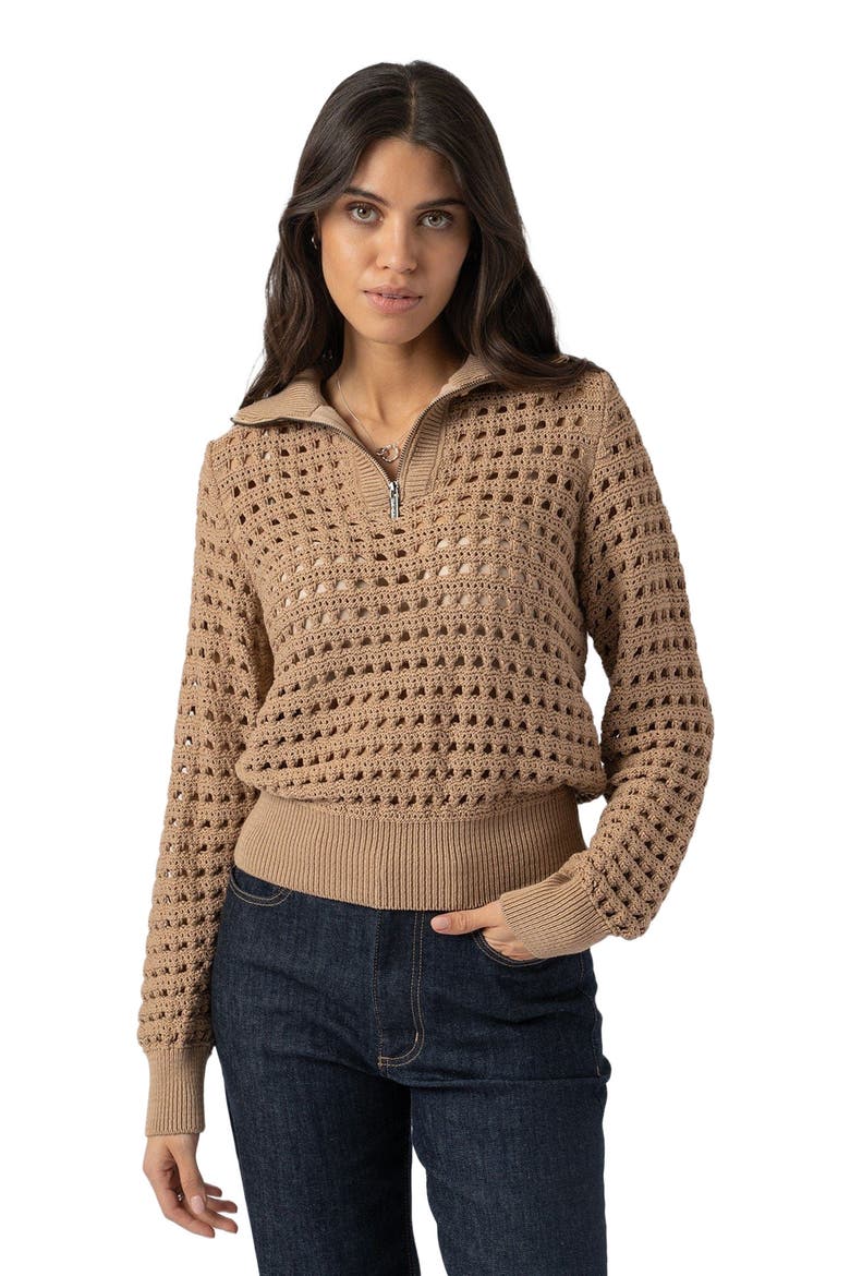 Ester Quarter Zip Knit, Main, color, Brown
