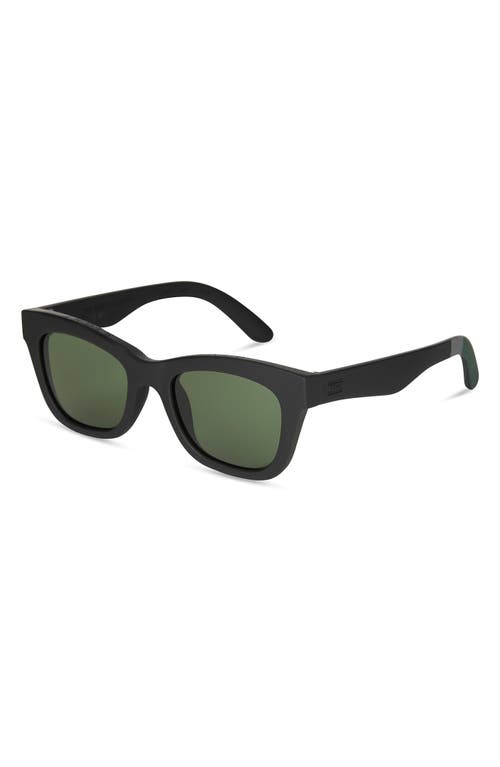 Toms Paloma 51mm Cat Eye Sunglasses In Black