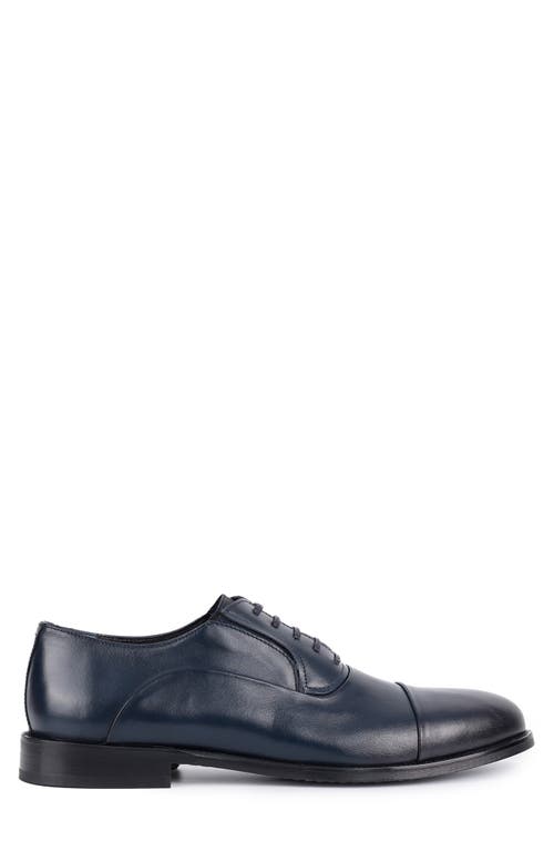 Vellapais Otto Oxford In Navy Blue
