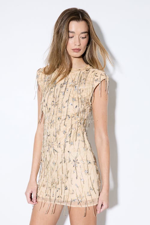 MissPap Premium Embellished Beaded Mini Dress in Nude at Nordstrom, Size 4