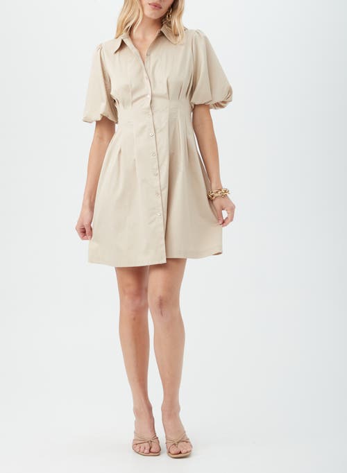 Trina Turk Galine Dress In Chai