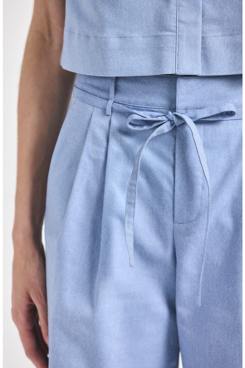 Felicity Pleated Tie Waist Wide Leg Pants, Alternate, color, CLOUD BLUE
