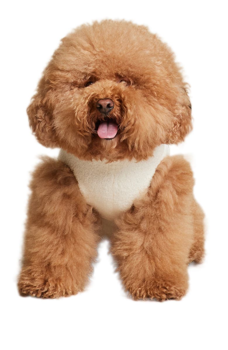 Barefoot Dreams<sup>®</sup> CozyChic<sup>®</sup> Amour Embroidered Pet Sweater, Main, color, 