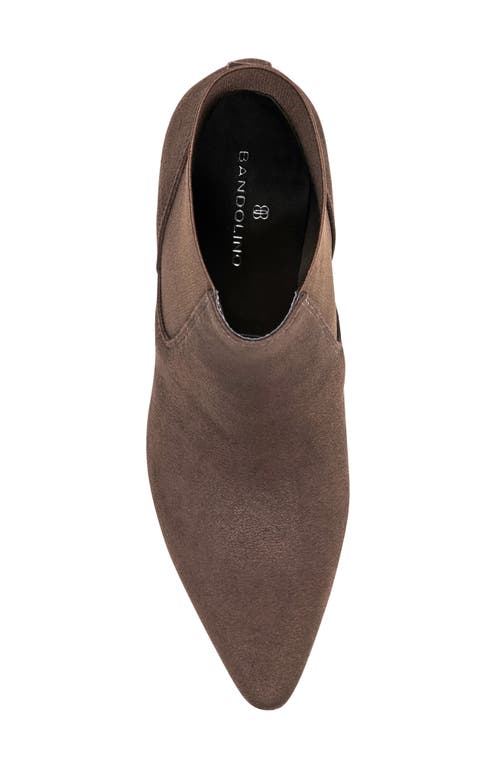 Bandolino Celebrate Kitten Heel Bootie In Brown
