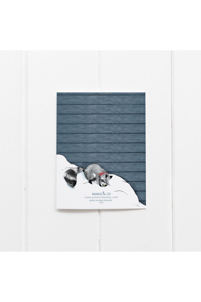 Winter/Holiday Greeting Card Pack Sets (3 ct) Raccoon's Gift, Alternate, color, Multi-Pack